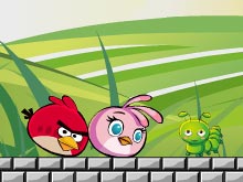 Angry Birds едят вредителей