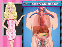 Барби учит анатомию