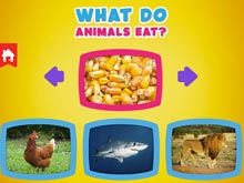 Что едят животные?