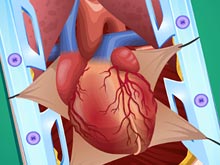 Хирургия: Операция на сердце