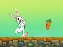 Маленький кролик бежит