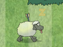 Овцы проверяют реакцию