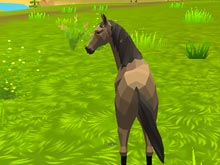 Симулятор лошади 3Д