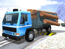 Видитель грузовика в России