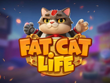 Жизнь толстого кота
