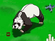 Разъяренная панда
